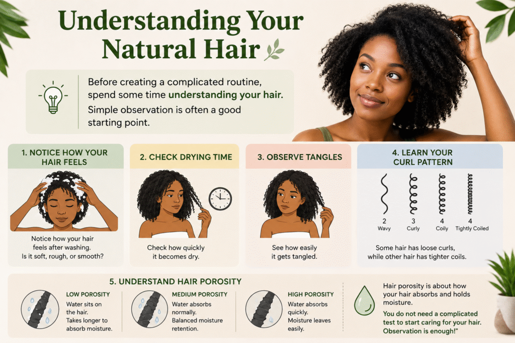 Understanding Your Natural Hair